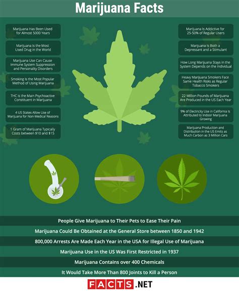 medicinal marijuana facts
